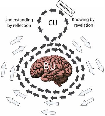 Conceptual and Biofunctional Embodiment: A Long Story on the Transience of the Enduring Mind